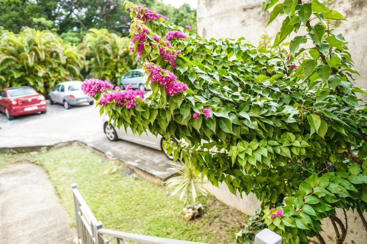 Color Garden - Studio Martinique Sainte-Anne Kültér fotó