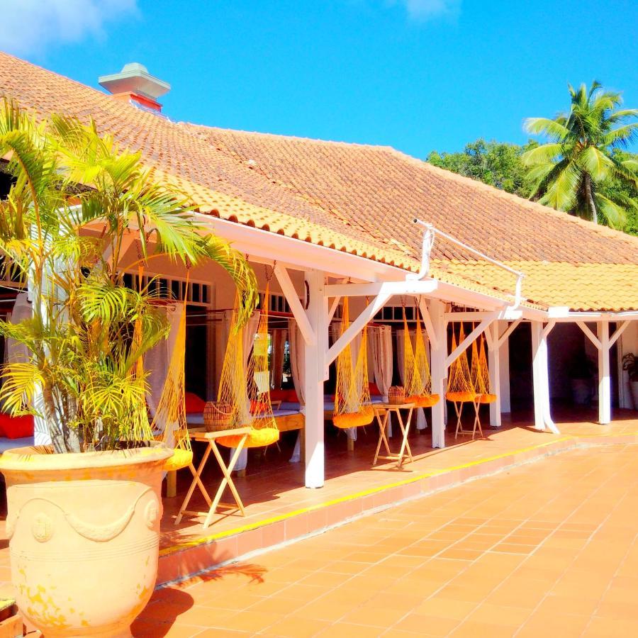Color Garden - Studio Martinique Sainte-Anne Kültér fotó